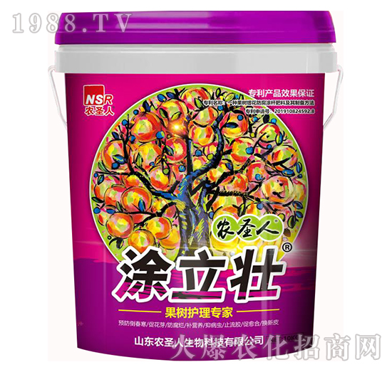����(sh��)�o(h��)�팣(zhu��n)��-Ϳ����-�r(n��ng)ʥ��
