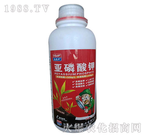 �������-���R�S