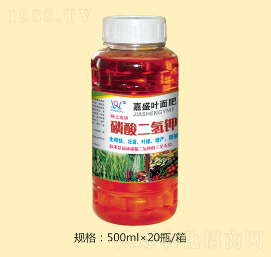 ��������-�fȪ�r��