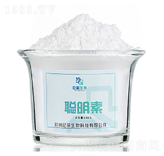 ����-�������