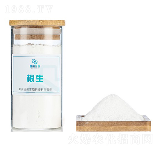 ����-�������