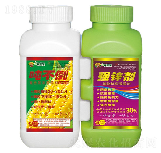 ������+���\��-���׌���AB�M�Ͽ����I�B(y��ng)-�r(n��ng)�̘�