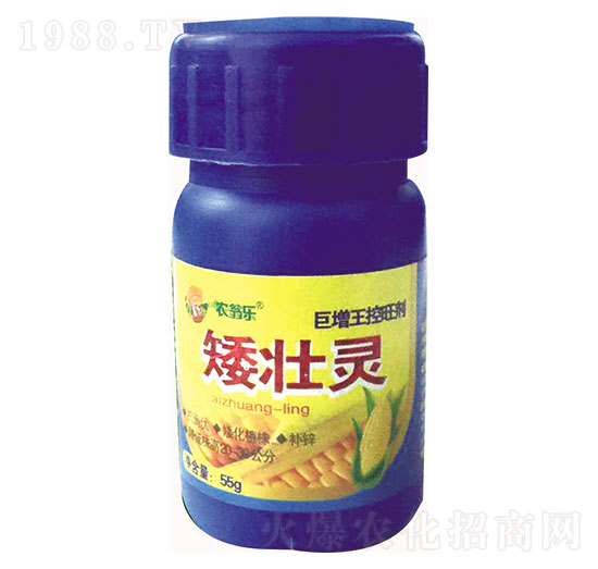 �����`-�r(n��ng)�̘�(l��)