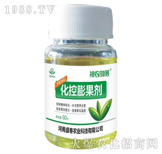 ���������-���r(n��ng)����-ʢ���r(n��ng)�I(y��)