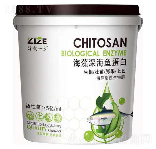 ������~����-���r���