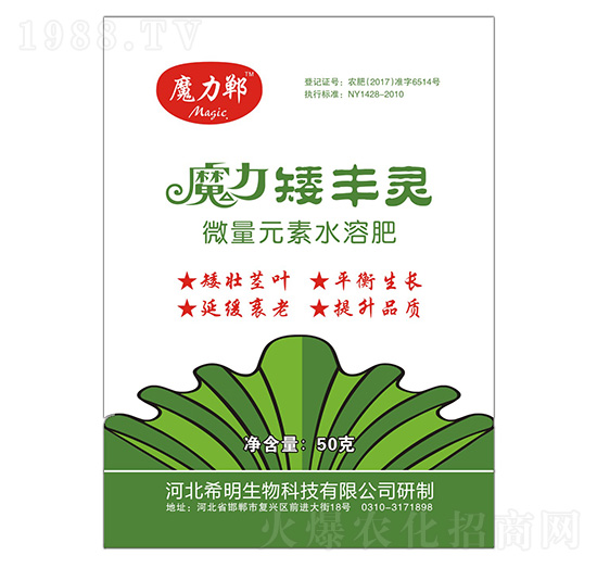 ħ�����S�`-ħ����-ϣ������