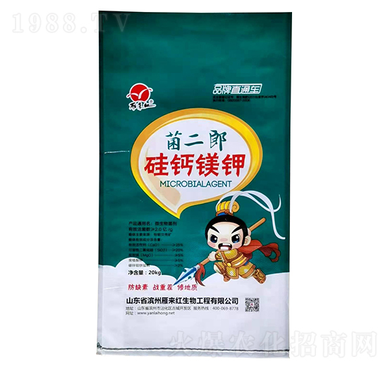 ���}�V�-������-����t