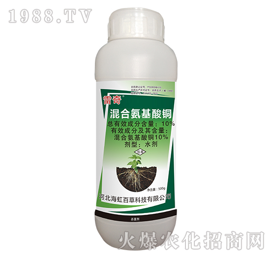 10%��ϰ������~-����-����ٲ�