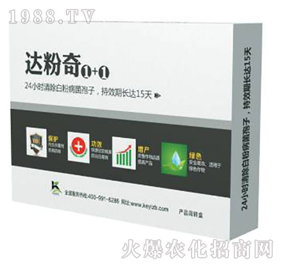 �_(d��)����1+1-����ֲ��