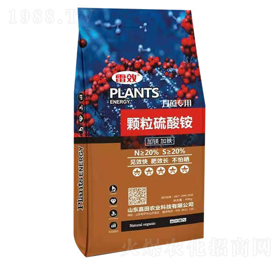 40kg���ጣ(zhu��n)���w�������@-��Ч-�����r(n��ng)�I(y��)