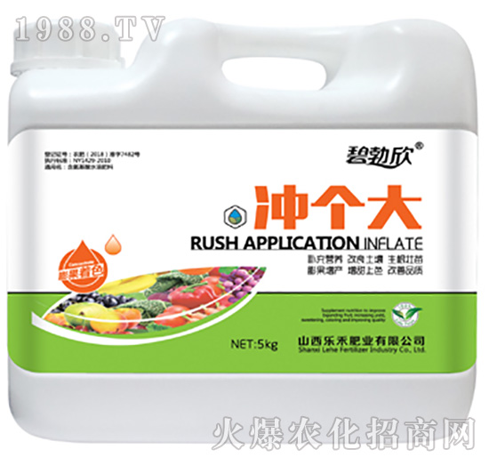 �_����-����