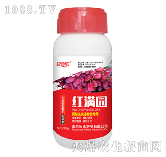 �t�M�@-����