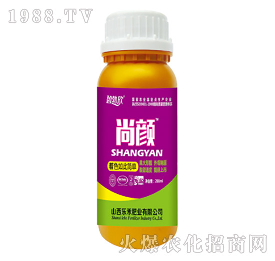 �����ɫ��˺���-����