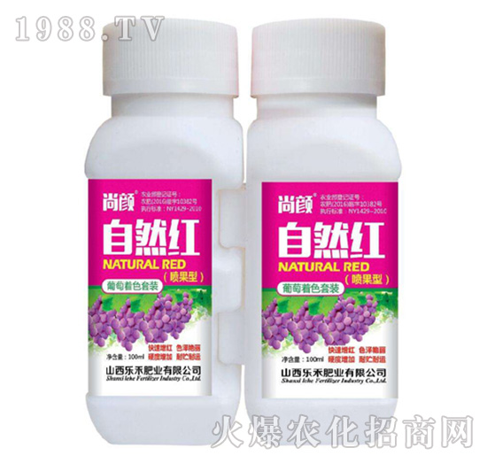 ��Ȼ�t������-����