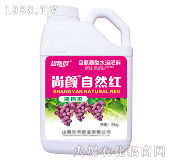 �����Ȼ�t-����