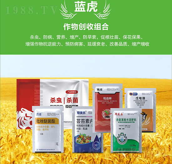 С�����a(ch��n)�ײ�-�{��Ʒ��