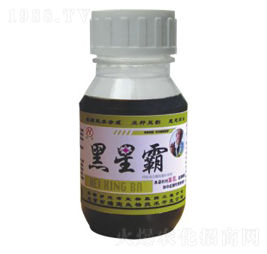 ���ǰ�-��Gֲ��