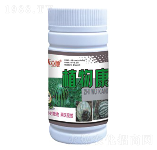 ֲ�￵-��Gֲ��