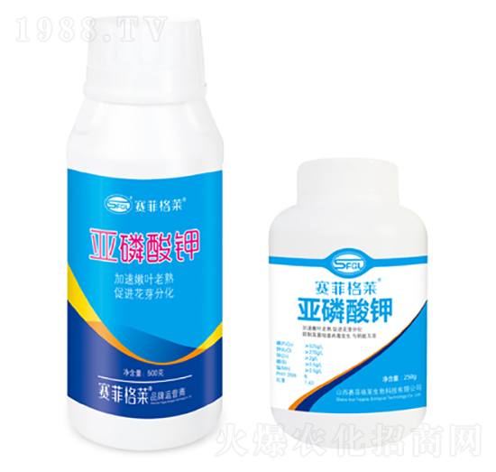 �������-ِ�Ƹ��R