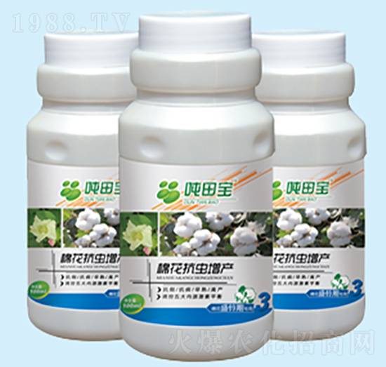 �޻�ʢ��ڌ�(zhu��n)����-���-�����S��