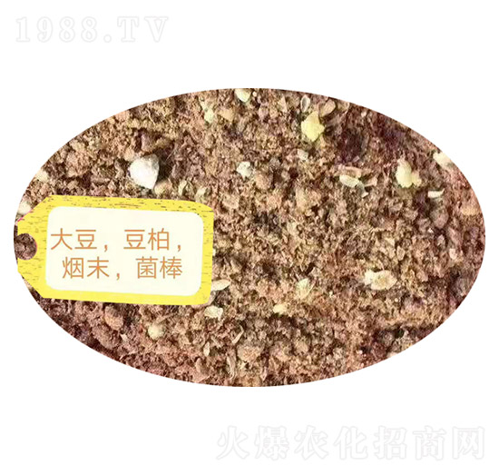 �������ء���ĩ��������-�Z�M�}