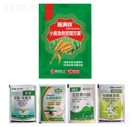 小麥急救管理方案-施滿收-嘉誠(chéng)農(nóng)業(yè)