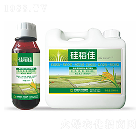 �赾��-��ԣ�Ƽ�