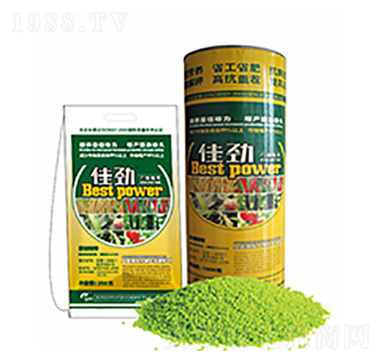 �ф�-�����Ƽ�