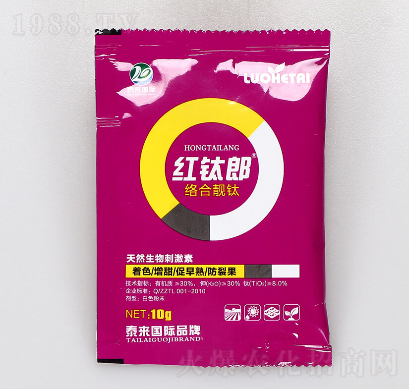 �j���n�-�t���-̩����H