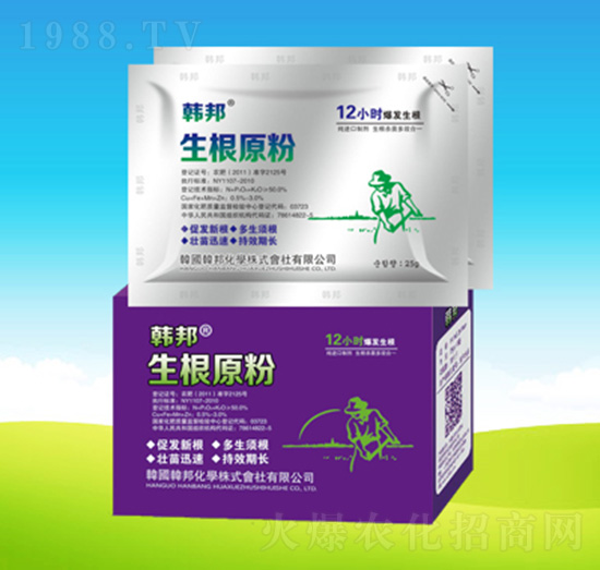 ����ԭ��-�n��ʘI(y��)