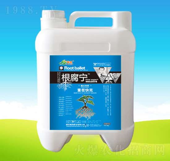 ������-�n��ʘI(y��)