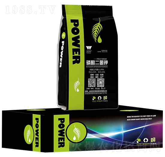 ��������-�֠���(y��u)