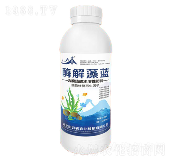 含腐殖酸水溶性肥料-酶解藻藍-紫州農(nóng)業(yè)