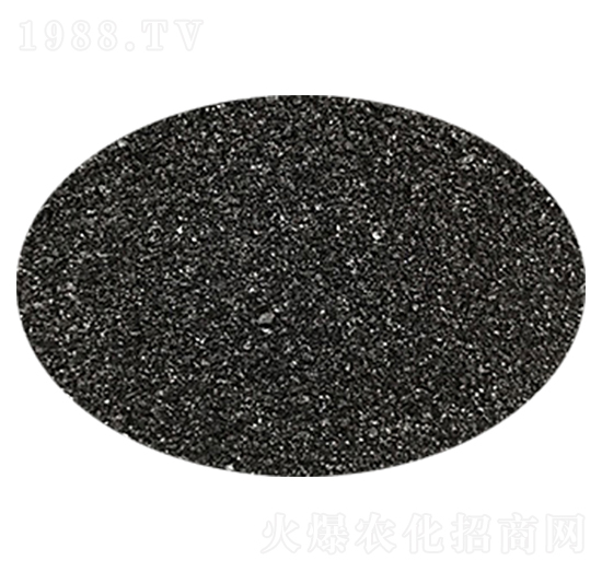 ���Ƹ�ֲ���c-ʥ��һ��