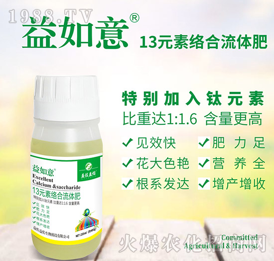 13Ԫ�ؽj�����w��-������-��������