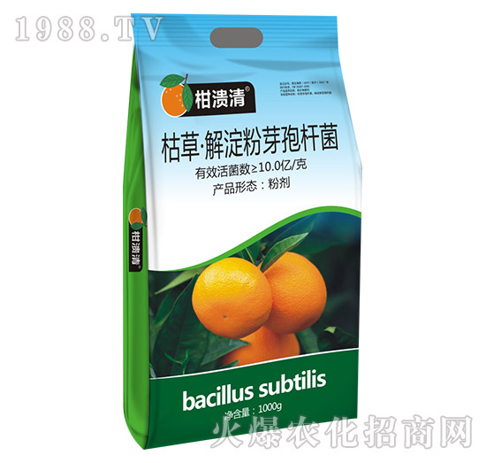 �ݲݡ������ѿ�ߗU��-�̝���-�T�_