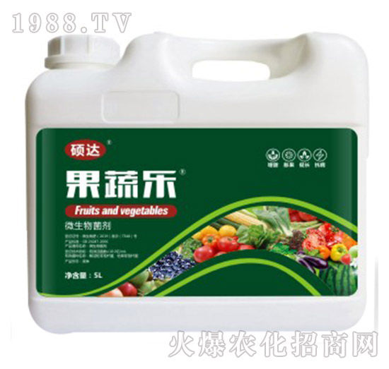 ���ߘ�-�T�_(d��)