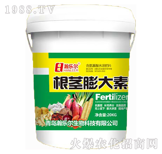 ���o�����-嫘���