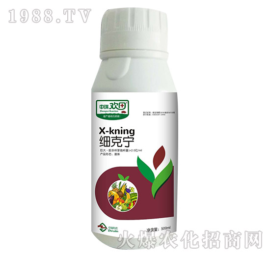 ���ˌ�-����g��-�������r