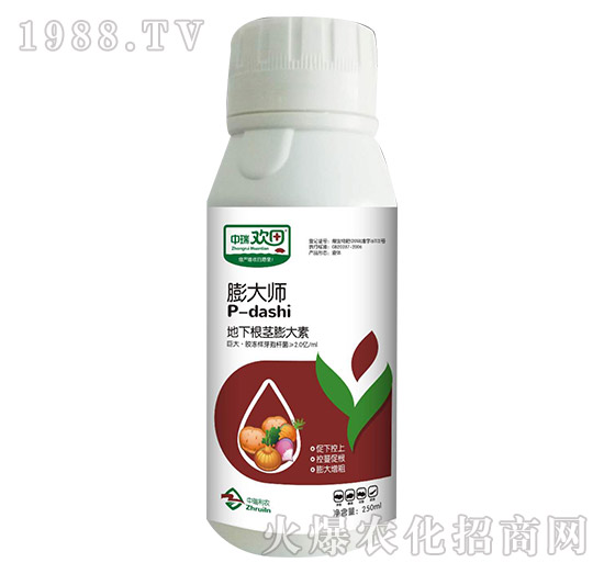 ���¸��o�����-���-����g��-�������r(n��ng)