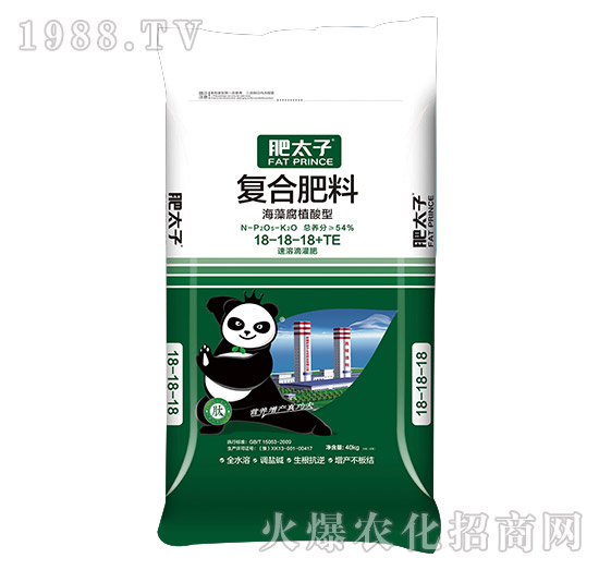 ���帯ֳ���͏�(f��)�Ϸ���18-18-18+TE-��̫��