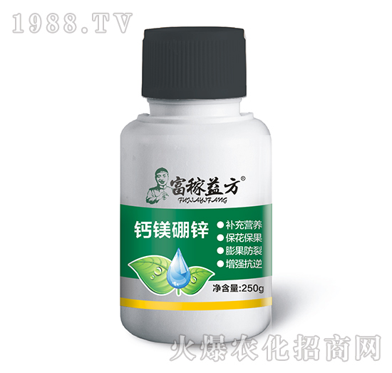 �}�V���\-�����淽-�Gʿ��