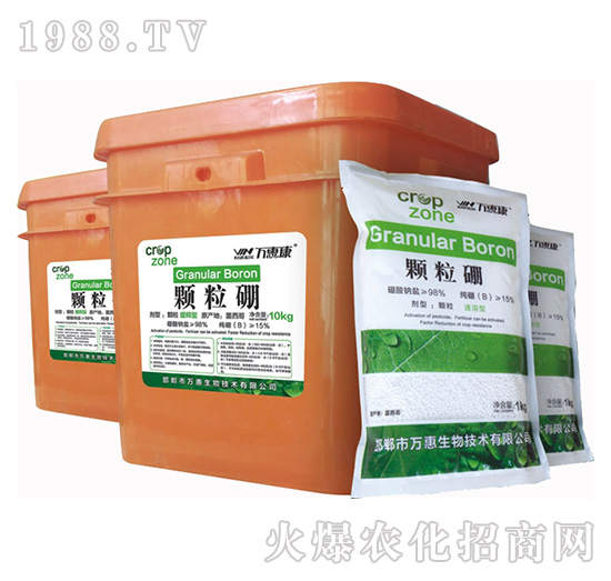 �w����-�f�ݿ�