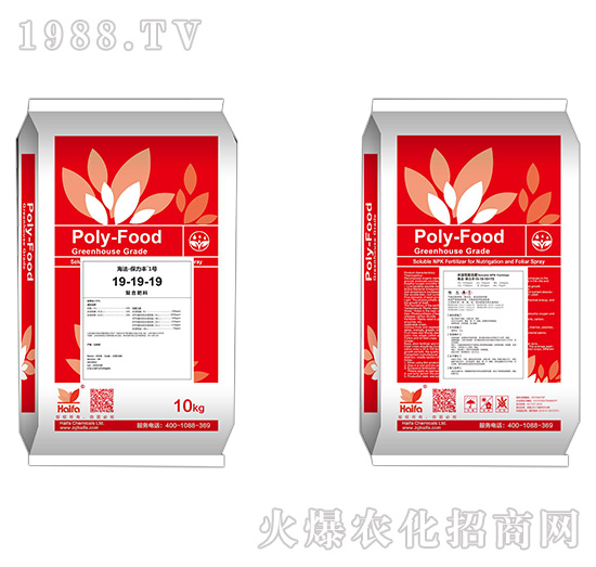 �ͺϷ���19-19-19-�����S1̖-����