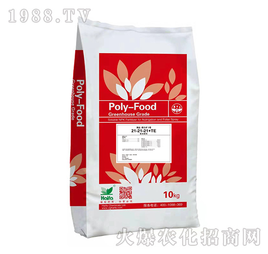 ��(f��)�Ϸ���21-21-21-�����S1̖-����