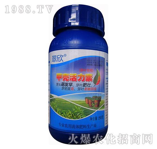 �ך�������-����-����