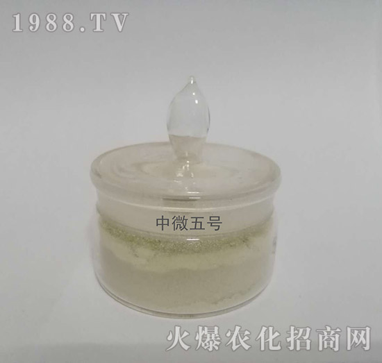 ��΢5̖(h��o)