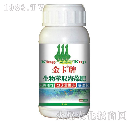 ������ȡ�����-��-� �����