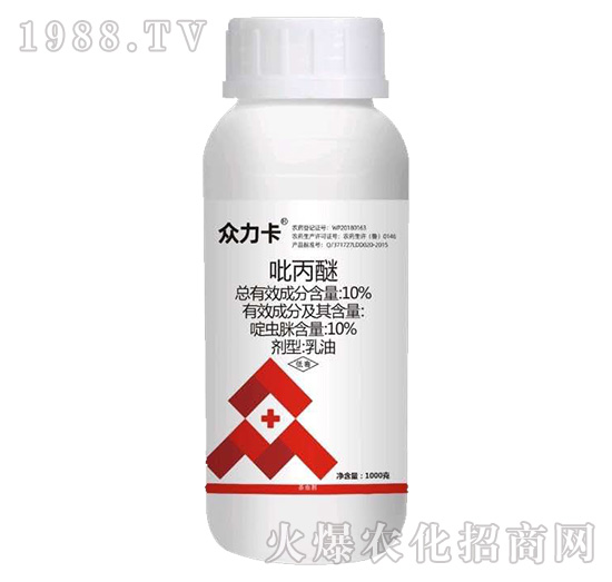 10%������-������-�J������