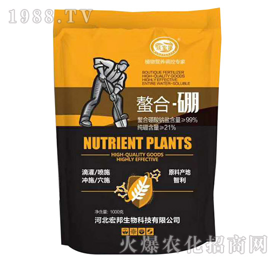 ���ϡ���-�ֺ��